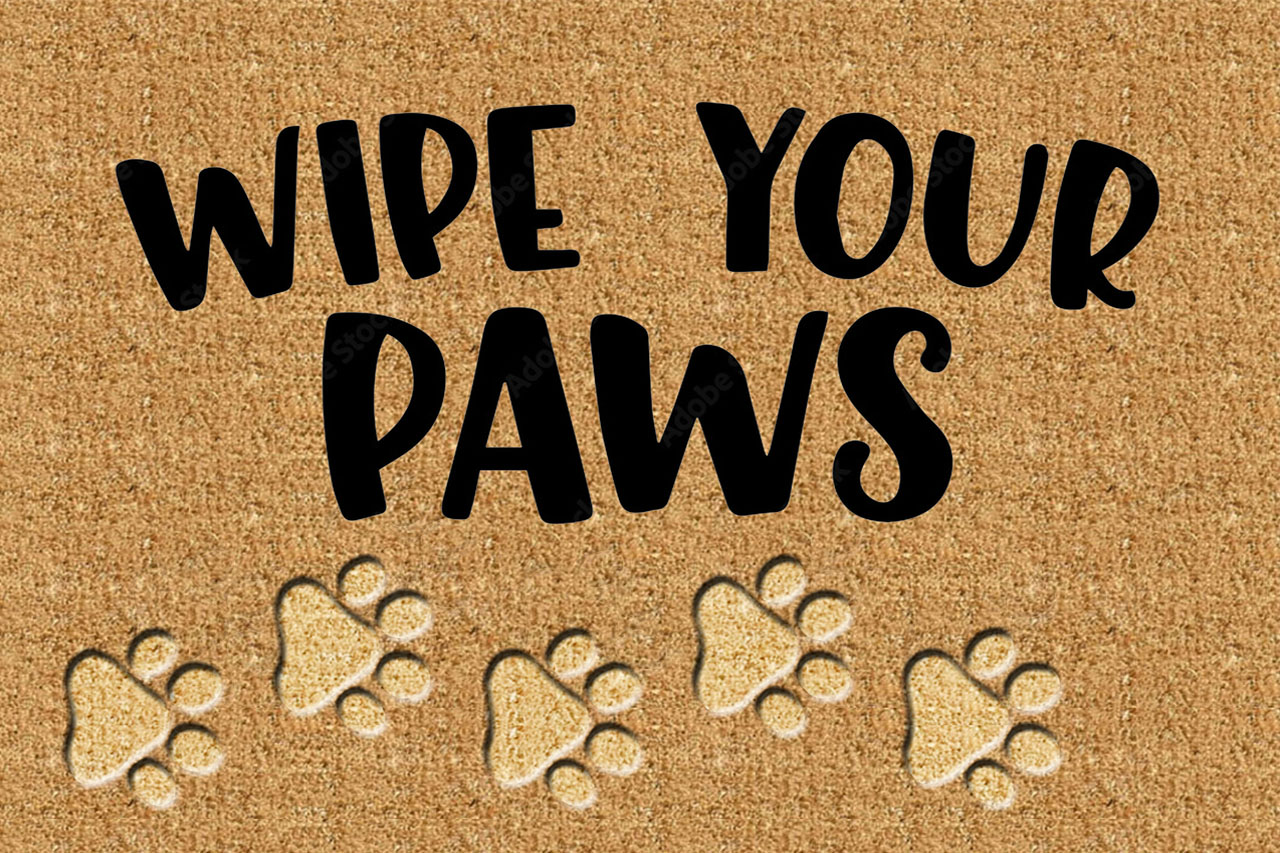 coir exporting companies near Alappuzha